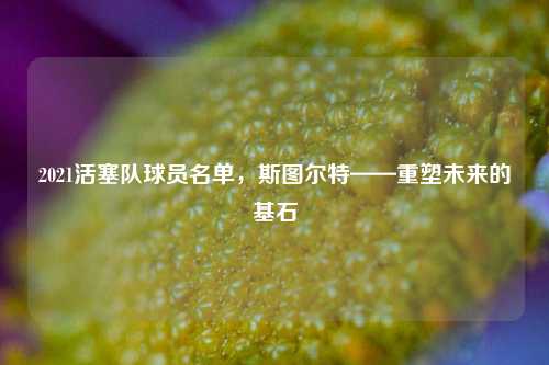 2021活塞队球员名单,斯图尔特——重塑未来的基石