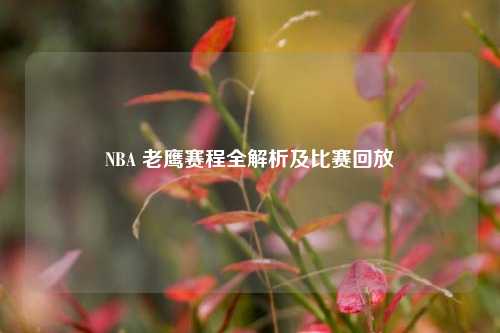 NBA 老鹰赛程全解析及比赛回放
