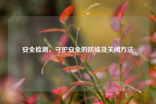 安全检测,守护安全的防线及关闭 ***