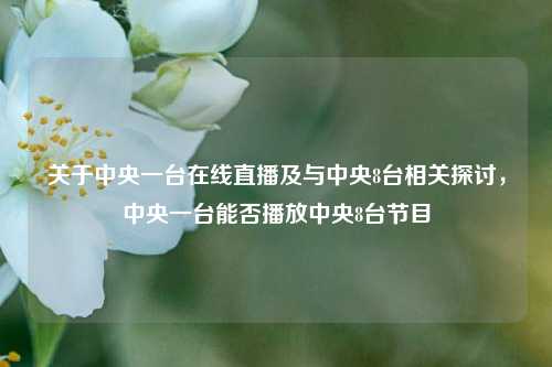关于中央一台在线直播及与中央8台相关探讨,中央一台能否播放中央8台节目