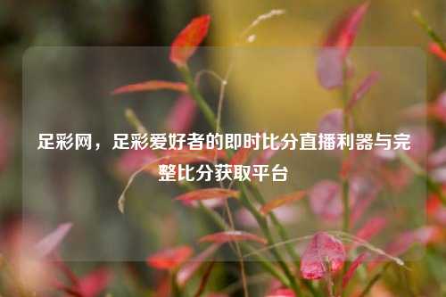 足彩网,足彩爱好者的即时比分直播利器与完整比分获取平台