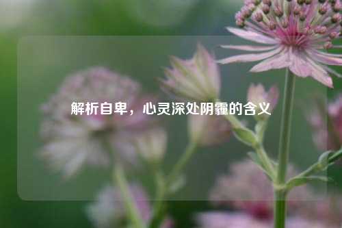 解析自卑,心灵深处阴霾的含义