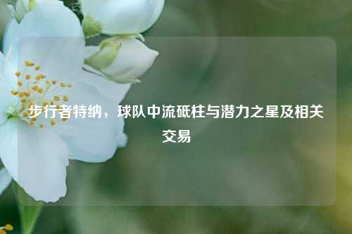步行者特纳,球队中流砥柱与潜力之星及相关交易
