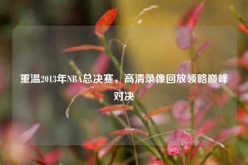 重温2013年NBA总决赛,高清录像回放领略巅峰对决