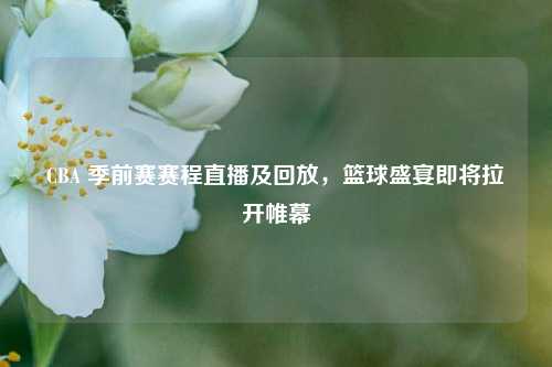 CBA 季前赛赛程直播及回放,篮球盛宴即将拉开帷幕