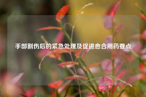 手部割伤后的紧急处理及促进愈合用药要点