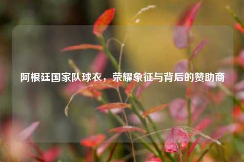 阿根廷国家队球衣,荣耀象征与背后的赞助商