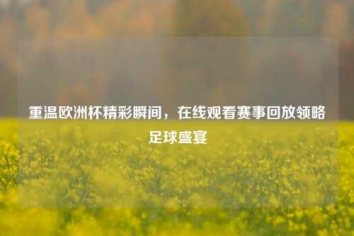 重温欧洲杯精彩瞬间,在线观看赛事回放领略足球盛宴