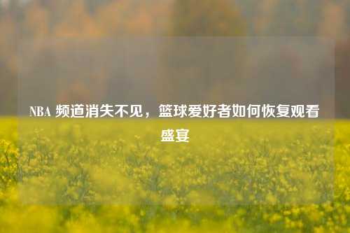 NBA 频道消失不见,篮球爱好者如何恢复观看盛宴