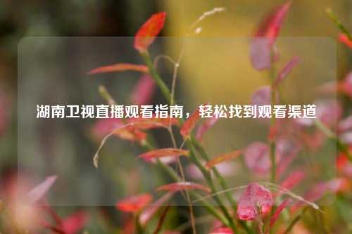 湖南卫视直播观看指南,轻松找到观看渠道