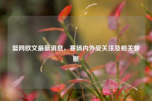 篮网欧文最新消息,赛场内外受关注及相关数据