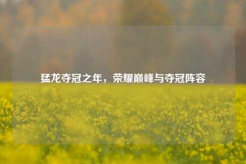 猛龙夺冠之年,荣耀巅峰与夺冠阵容