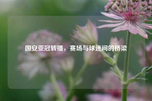 国安亚冠转播,赛场与球迷间的桥梁