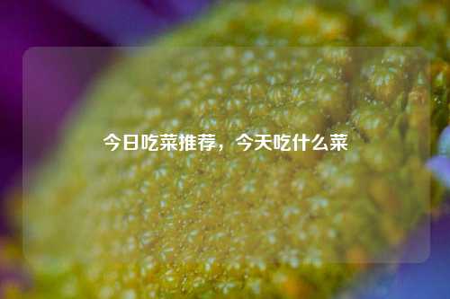 今日吃菜推荐,今天吃什么菜