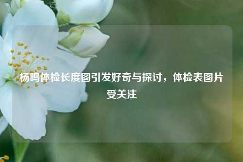 杨鸣体检长度图引发好奇与探讨,体检表图片受关注