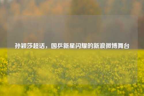 孙颖莎超话,国乒新星闪耀的新浪微博舞台