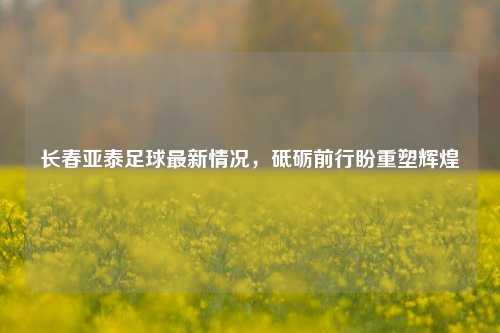 长春亚泰足球最新情况,砥砺前行盼重塑辉煌