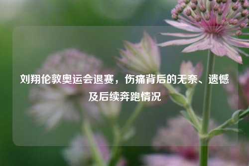 刘翔伦敦奥运会退赛,伤痛背后的无奈、遗憾及后续奔跑情况