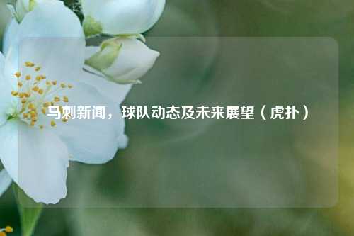 马刺新闻,球队动态及未来展望(虎扑)