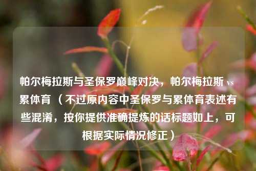 帕尔梅拉斯与圣保罗巅峰对决,帕尔梅拉斯 vs 累体育 (不过原内容中圣保罗与累体育表述有些混淆,按你提供准确提炼的话标题如上,可根据实际情况修正)