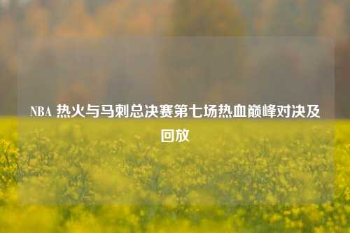NBA 热火与马刺总决赛第七场热血巅峰对决及回放