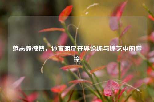范志毅微博,体育明星在舆论场与综艺中的碰撞