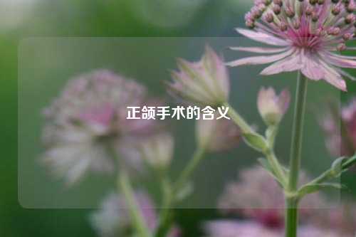 正颌手术的含义