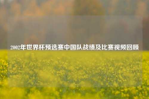2002年世界杯预选赛中国队战绩及比赛视频回顾