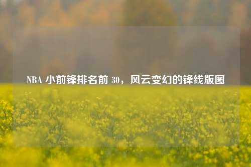 NBA 小前锋排名前 30,风云变幻的锋线版图