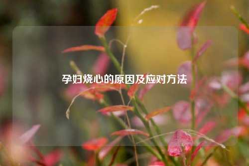孕妇烧心的原因及应对 ***
