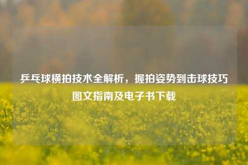 乒乓球横拍技术全解析,握拍姿势到击球技巧图文指南及电子书下载