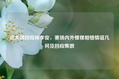武大靖回应林孝俊,赛场内外惺惺相惜情谊几何及回应集数