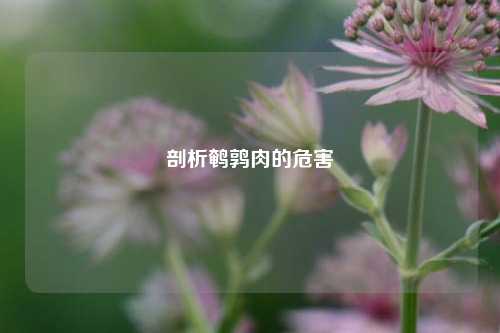 剖析鹌鹑肉的危害