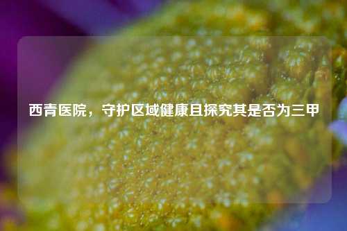 西青医院,守护区域健康且探究其是否为三甲