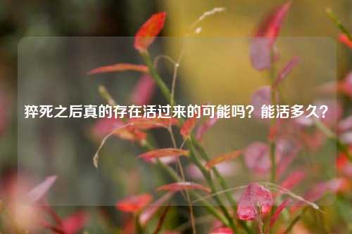 猝死之后真的存在活过来的可能吗?能活多久?