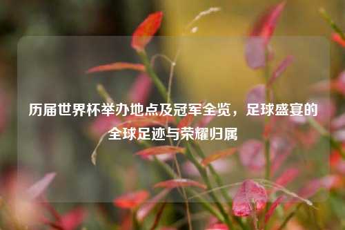 历届世界杯举办地点及冠军全览,足球盛宴的全球足迹与荣耀归属