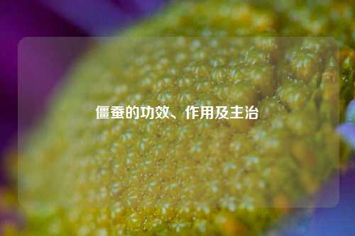 僵蚕的功效、作用及主治