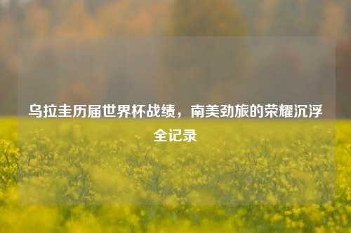 乌拉圭历届世界杯战绩,南美劲旅的荣耀沉浮全记录