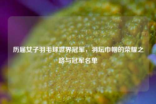 历届女子羽毛球世界冠军,羽坛巾帼的荣耀之路与冠军名单