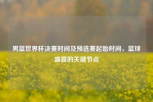 男篮世界杯决赛时间及预选赛起始时间,篮球盛宴的关键节点