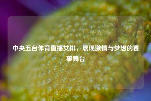 中央五台体育直播女排,展现***与梦想的赛事舞台