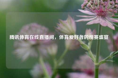 腾讯体育在线直播间,体育爱好者的观赛盛宴