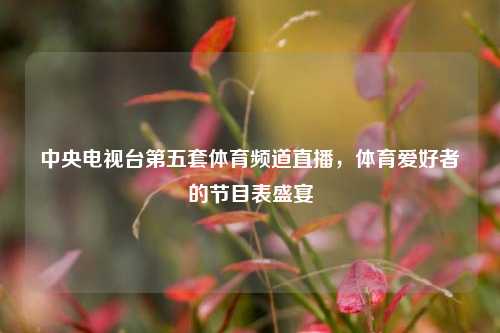 中央电视台第五套体育频道直播,体育爱好者的节目表盛宴