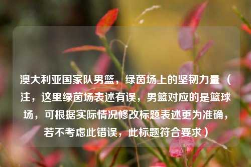 澳大利亚国家队男篮,绿茵场上的坚韧力量 (注,这里绿茵场表述有误,男篮对应的是篮球场,可根据实际情况修改标题表述更为准确,若不考虑此错误,此标题符合要求)
