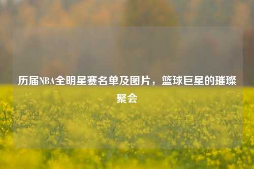 历届NBA全明星赛名单及图片,篮球巨星的璀璨聚会