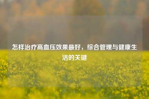 怎样治疗高血压效果更好,综合管理与健康生活的关键