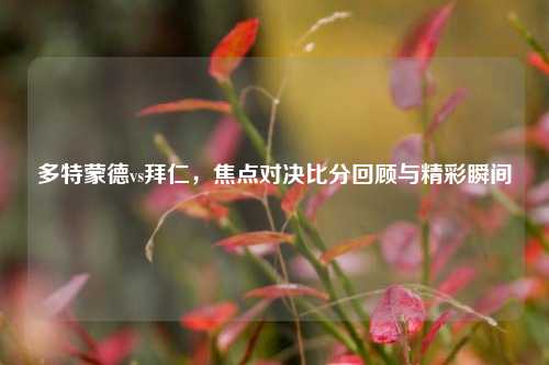 多特蒙德vs拜仁,焦点对决比分回顾与精彩瞬间
