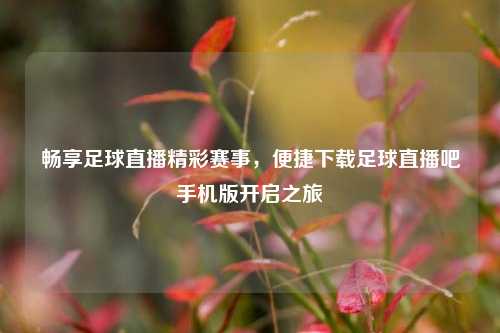 畅享足球直播精彩赛事,便捷下载足球直播吧手机版开启之旅
