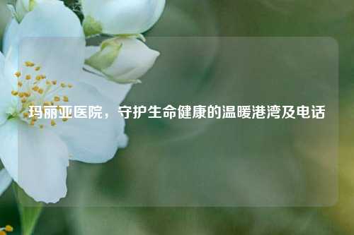 玛丽亚医院,守护生命健康的温暖港湾及 ***