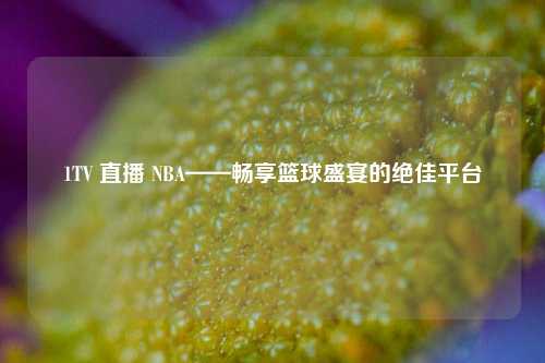 1TV 直播 NBA——畅享篮球盛宴的绝佳平台